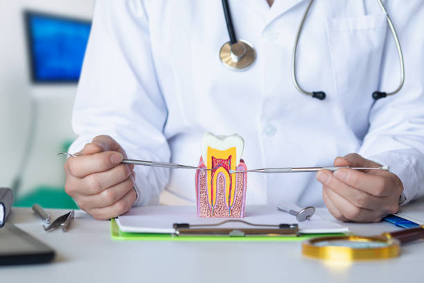 Best Emergency Gum Treatment in Troy, IL